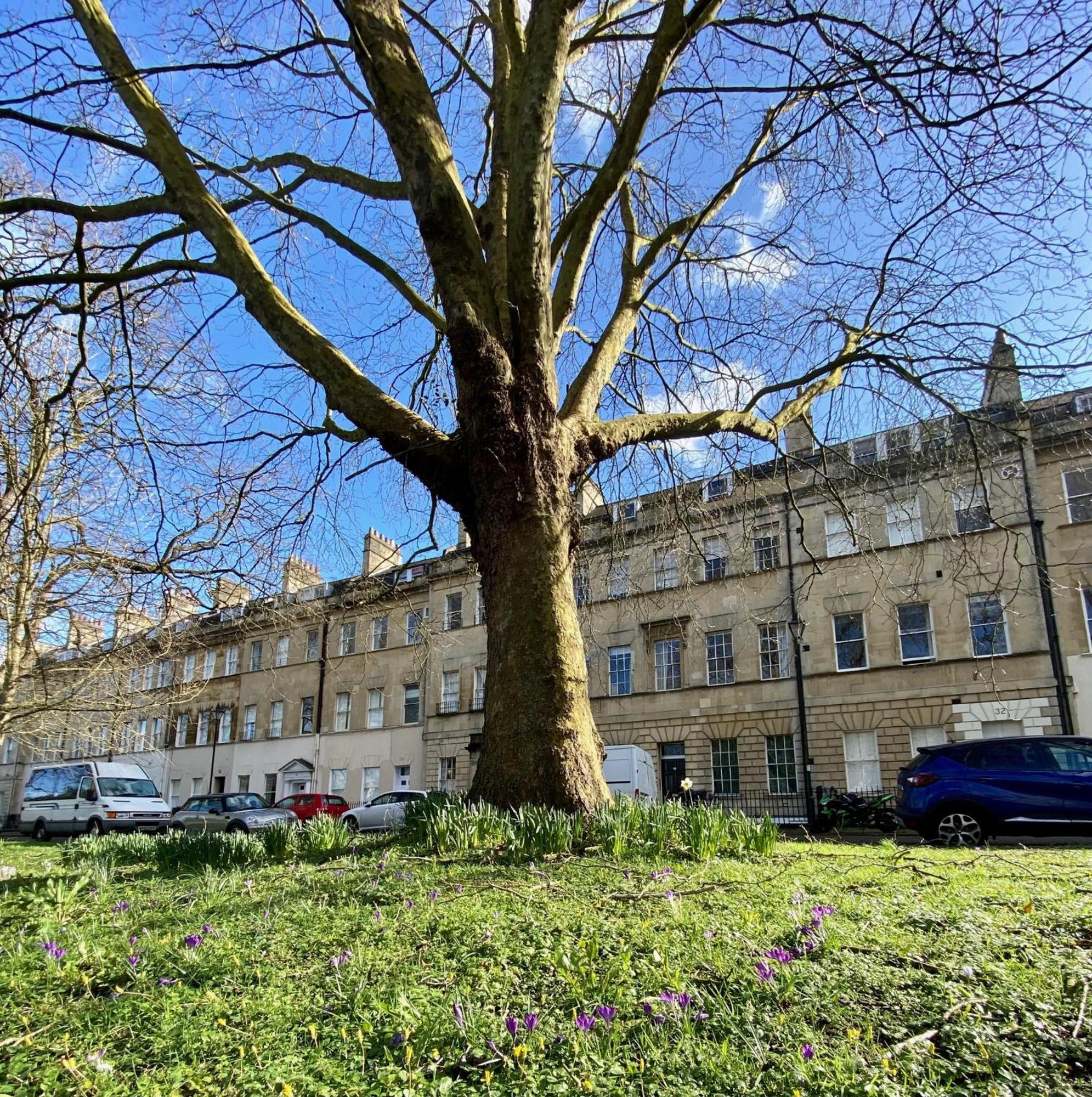 Grosvenor Apartments In Bath - Great For Families, Groups, Couples, 80 Sq M, Parking ภายนอก รูปภาพ